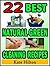 22 Best Natural Green Cleaning Recipes