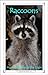 Raccoons: Masked Robbers of the Night (15-Minute Books Book 313)