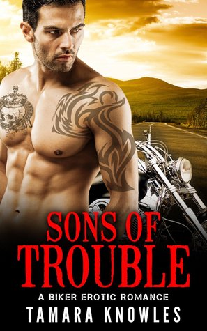 Sons of Trouble (Kindle Edition)