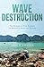 Wave of Destruction The Stories of Four Families and History's Deadliest Tsunami by Erich Krauss