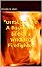 Forest on Fire: A Day in the Life of a Wildland Firefighter