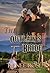 The Outlaw's Bride