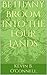 Into the Four Lands: A Bethany Broom Novel Book One
