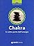 Chakra. Le sette porte dell'energia