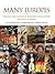 Many Europes: Choice and Chance in Western Civilization, Renaissance to Present