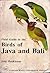 Field Guide to the Birds of Java and Bali by John MacKinnon