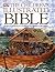 The Children's Illustrated Bible [CHILDRENS ILLUS BIBLE] by Selina Shirley Hastings