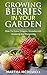 Growing Berries in Your Garden by Martha McDowell Growing Berries in Your Garden by Martha McDowell