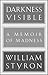 Darkness Visible: A Memoir ...