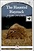 The Haunted Haystack: A 15-...