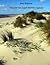 Discover the Dutch Wadden I...