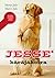 Jesse käräjäkoira