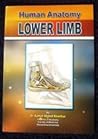 Lower limb