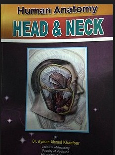 Head & Neck