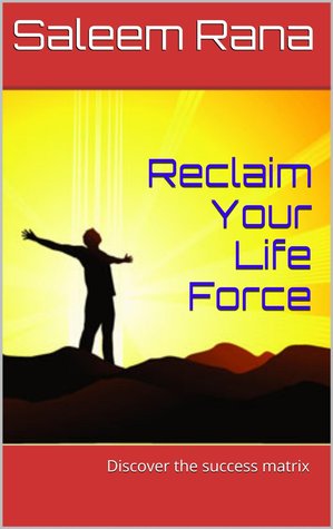 Reclaim Your Life Force :  Discover the success matrix