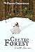 Celtic Forest (The Farnir Chronicles #1)