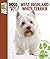 West Highland White Terrier by Debra M. Eldredge