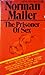 The Prisoner of Sex