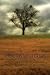Arboris Mysterius: Stories ...
