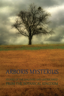 Arboris Mysterius: Stories of the Uncanny and Undescribed from the Botanical Kingdom (Paperback)