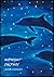 Midnight Dolphin