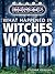 What Happened in Witches Wood