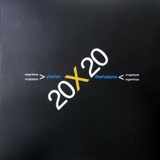 20x20