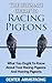 The Ultimate Guide To Racing Pigeon: What Everybody Ought To Know About Racing Pigeons