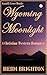 Wyoming Moonlight: A Christian Western Romance