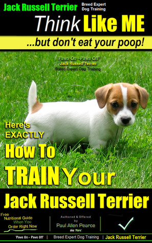how to train your jack russell puppy
