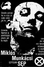 Sęp (Paperback)