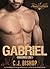 GABRIEL 2: Ransomed Love (Phoenix Club, #11)