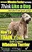 Soft Coated Wheaten Terrier...