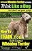 Soft Coated Wheaten Terrier,Soft Coated Wheaten Training AAA AKC |Think Like a Dog, But Don’t Eat Your Poop! | Soft Coated Wheaten Terrier: Heres EXACTLY How To Train Your Soft Coated Wheaton Terrier