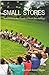 Small Stories: Reflections on the Practice of Youth Development