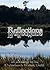 Reflections