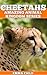 CHEETAHS: Fun Facts and Ama...
