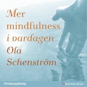 Mer mindfulness i vardagen (Audible Audio)