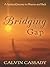 Bridging the Gap  by Calvin Cassady