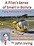 A Pilot’s Sense of Smell in Bolivia (Flying Helicopters in South America Book 3)