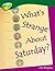 What's Strange About Saturday? (Treetop Non Fiction)
