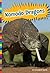 Komodo Dragons (Lizards)