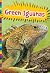 Green Iguanas (Lizards)