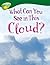What Can You See in This Cloud? (Oxford Reading Tree: Level 12: Treetops Non-Fiction)