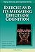 Exercise and Its Mediating Effects on Cognition