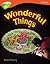 Wonderful Things (Oxford Reading Tree: Stage 13: Treetops Non-Fiction)
