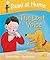 The Lost Voice by Cynthia Rider
