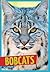 Bobcats (Wild Cats)