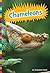 Chameleons (Lizards)
