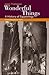 Wonderful Things: A History of Egyptology, Volume 1: From Antiquity to 1881